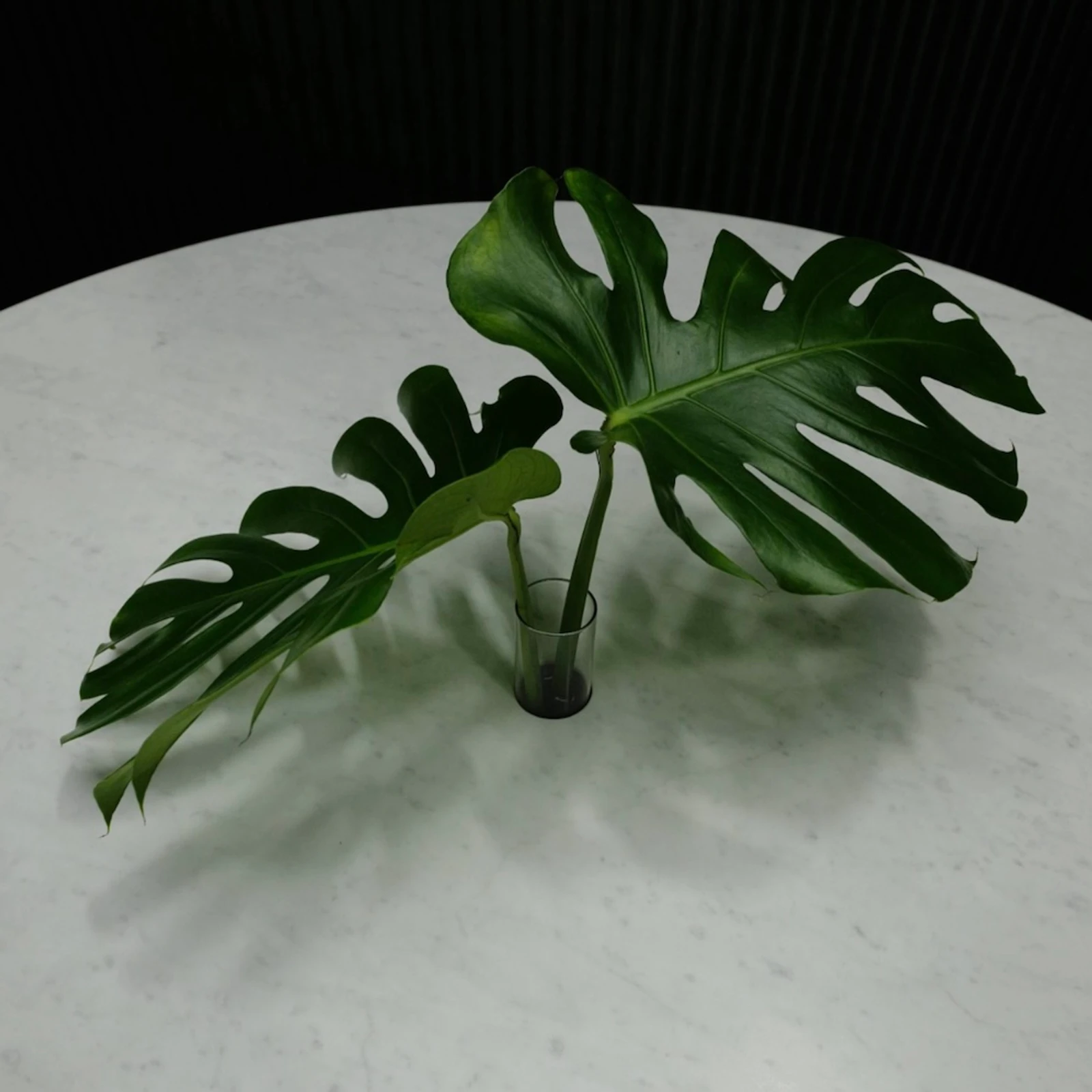 catilever table by molo - PaperStone table top