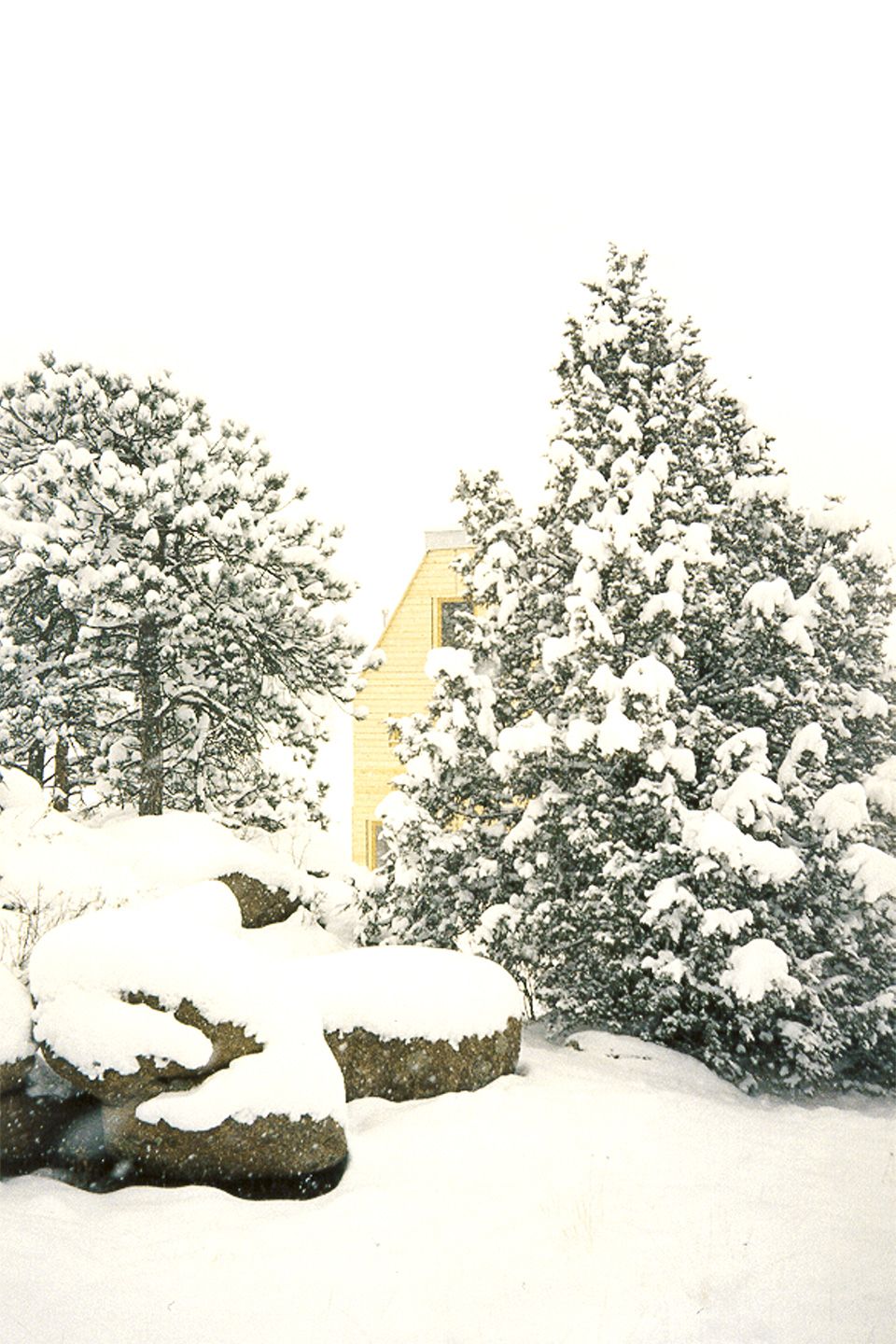 Colorado House, designed and built by Stephanie Forsythe and Todd MacAllen.