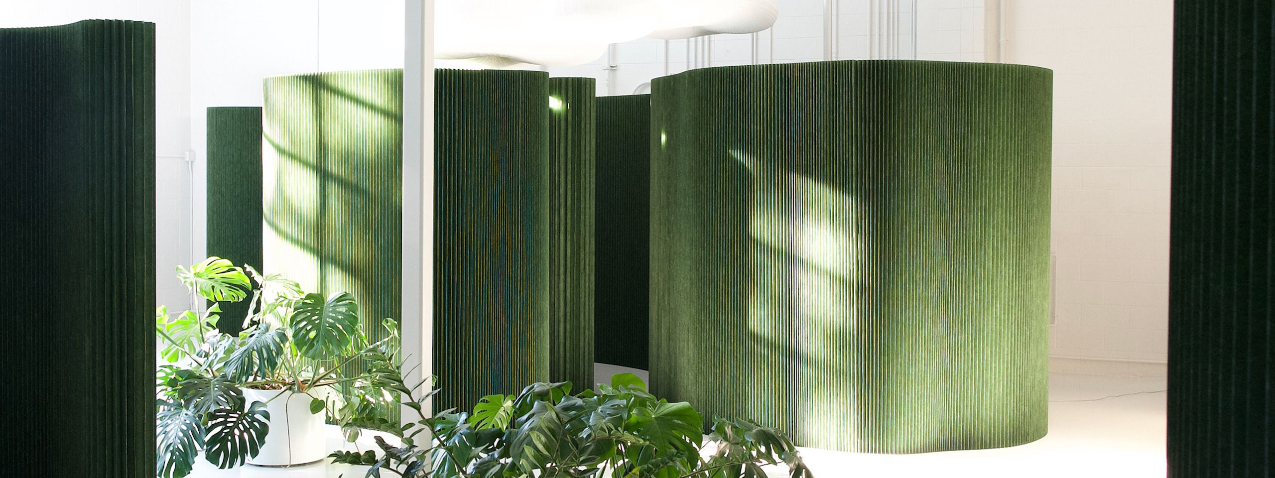 eco friendly room dividers