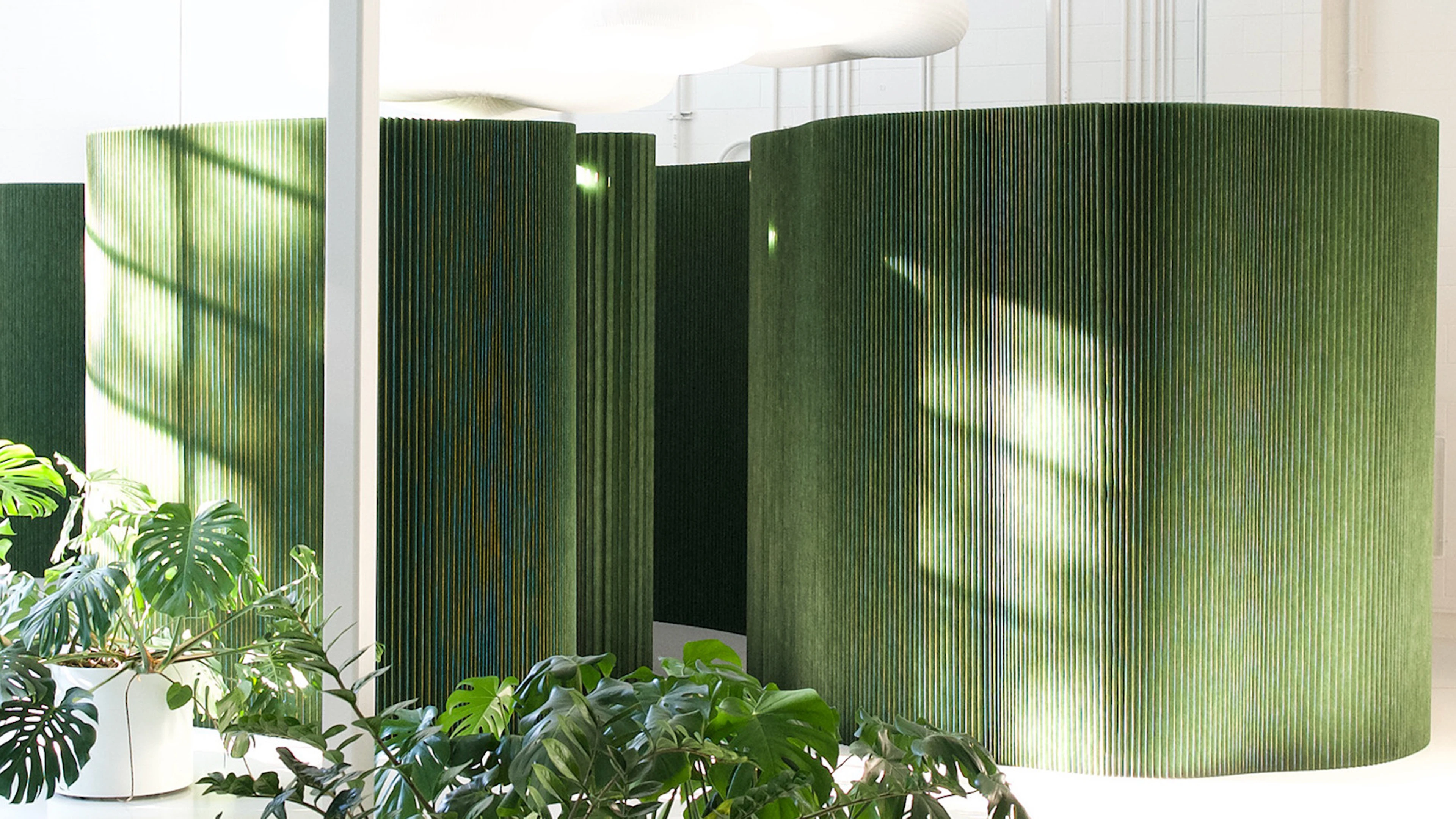 eco friendly room dividers