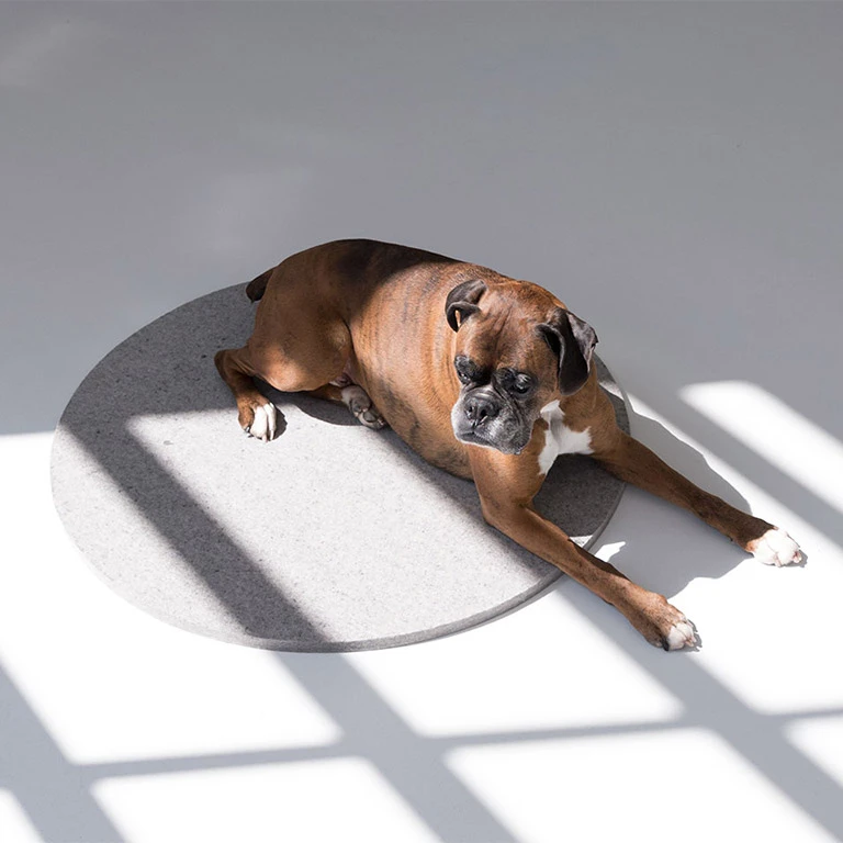 a minimalist dog bed
