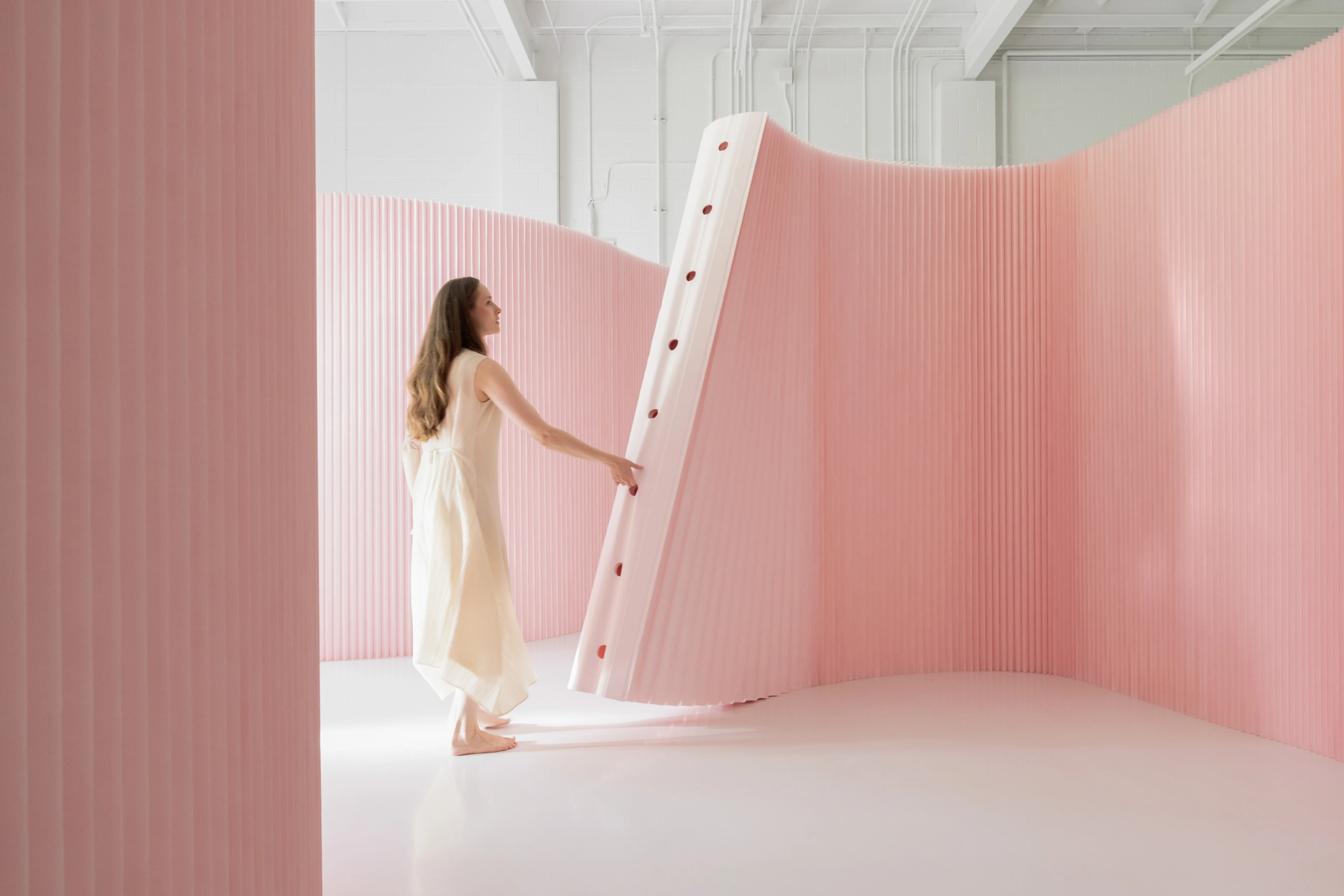 portable folding wall