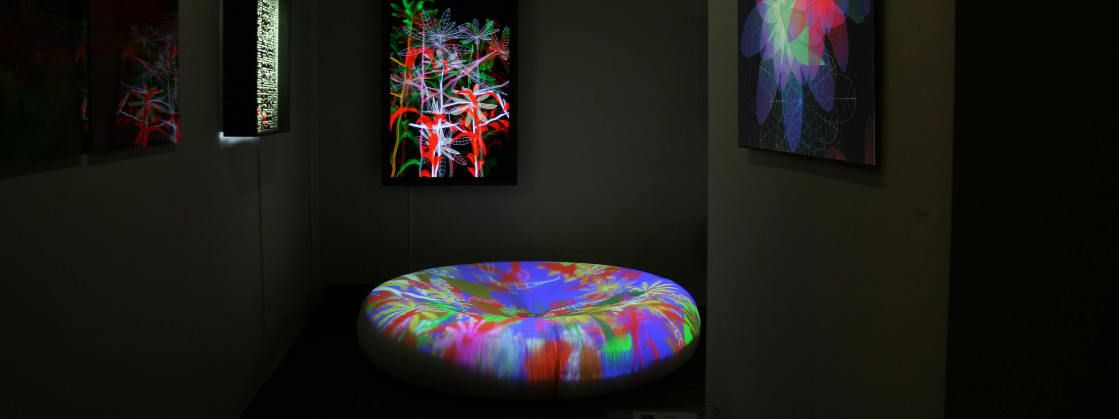 museum display fixtures for galleries