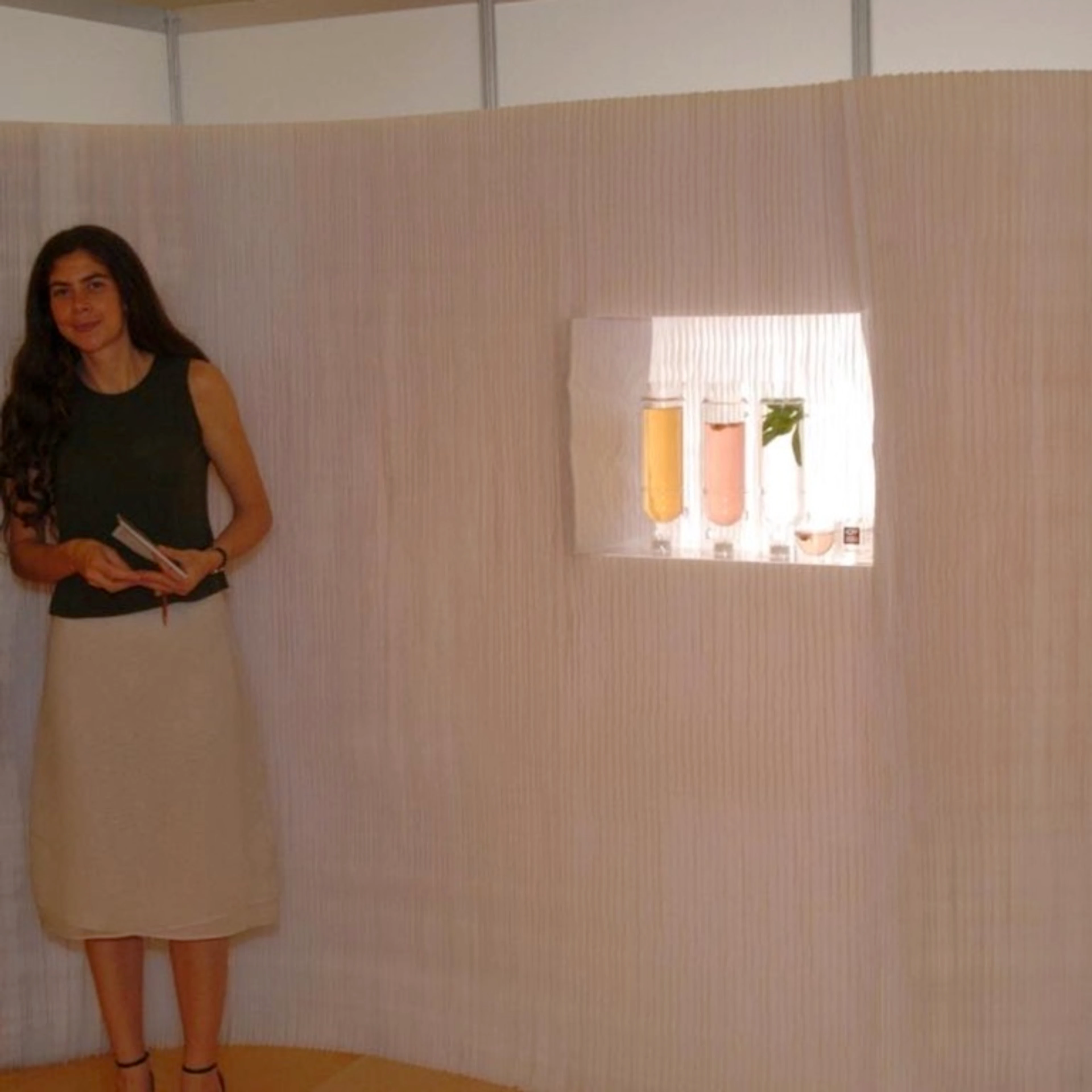 early rendition of the softwall at icff 2004