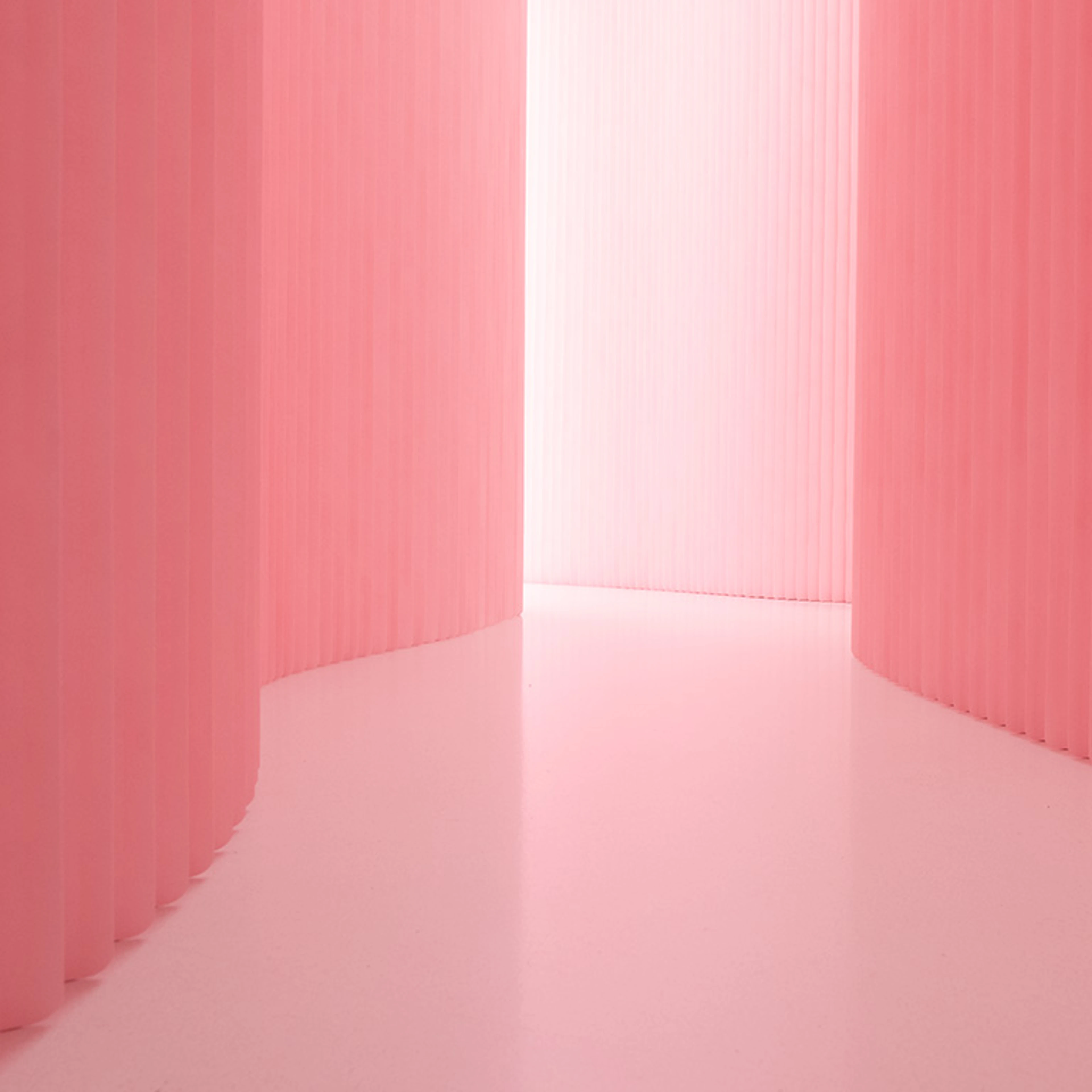 softwall, pink wall, temporary wall, Pantone 12-1305, custom colour walls, pink interior design,molo