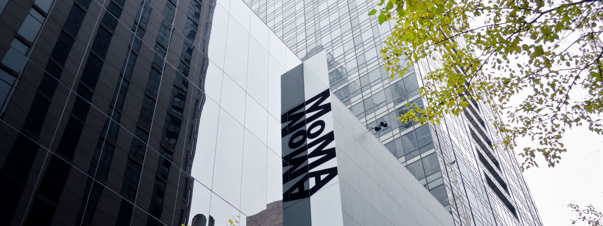 molo included in MoMa archives