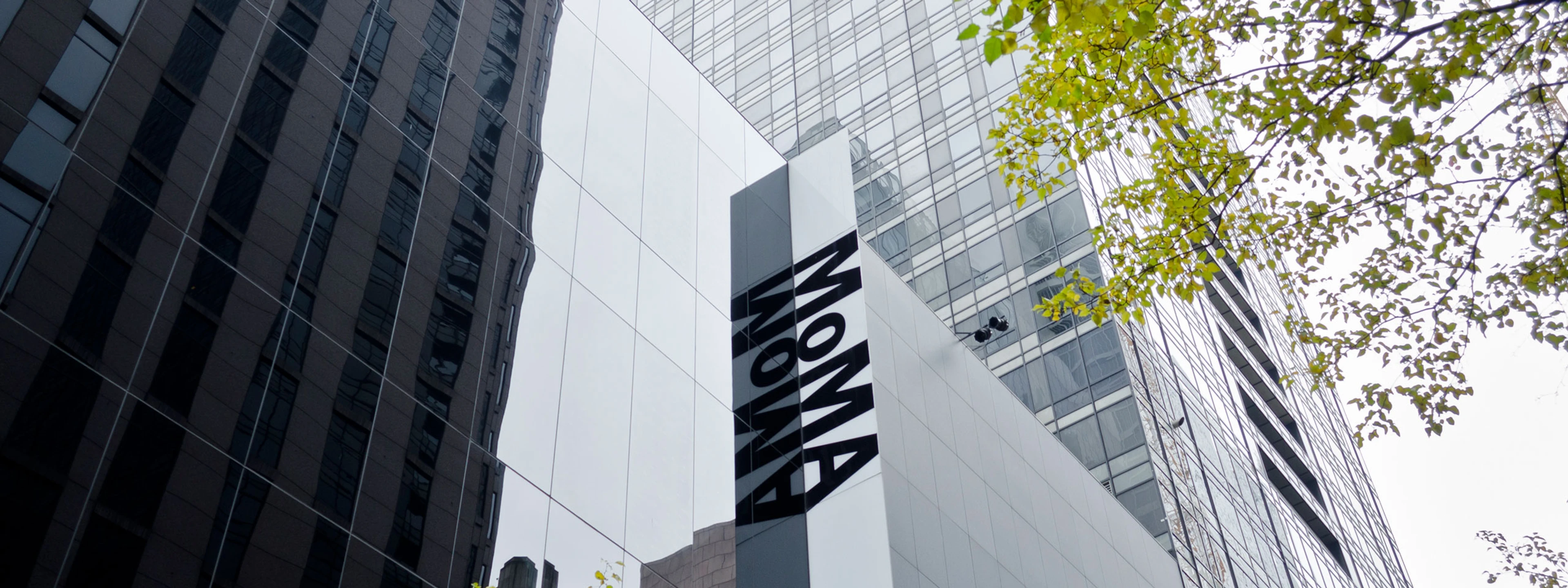 molo included in MoMa archives