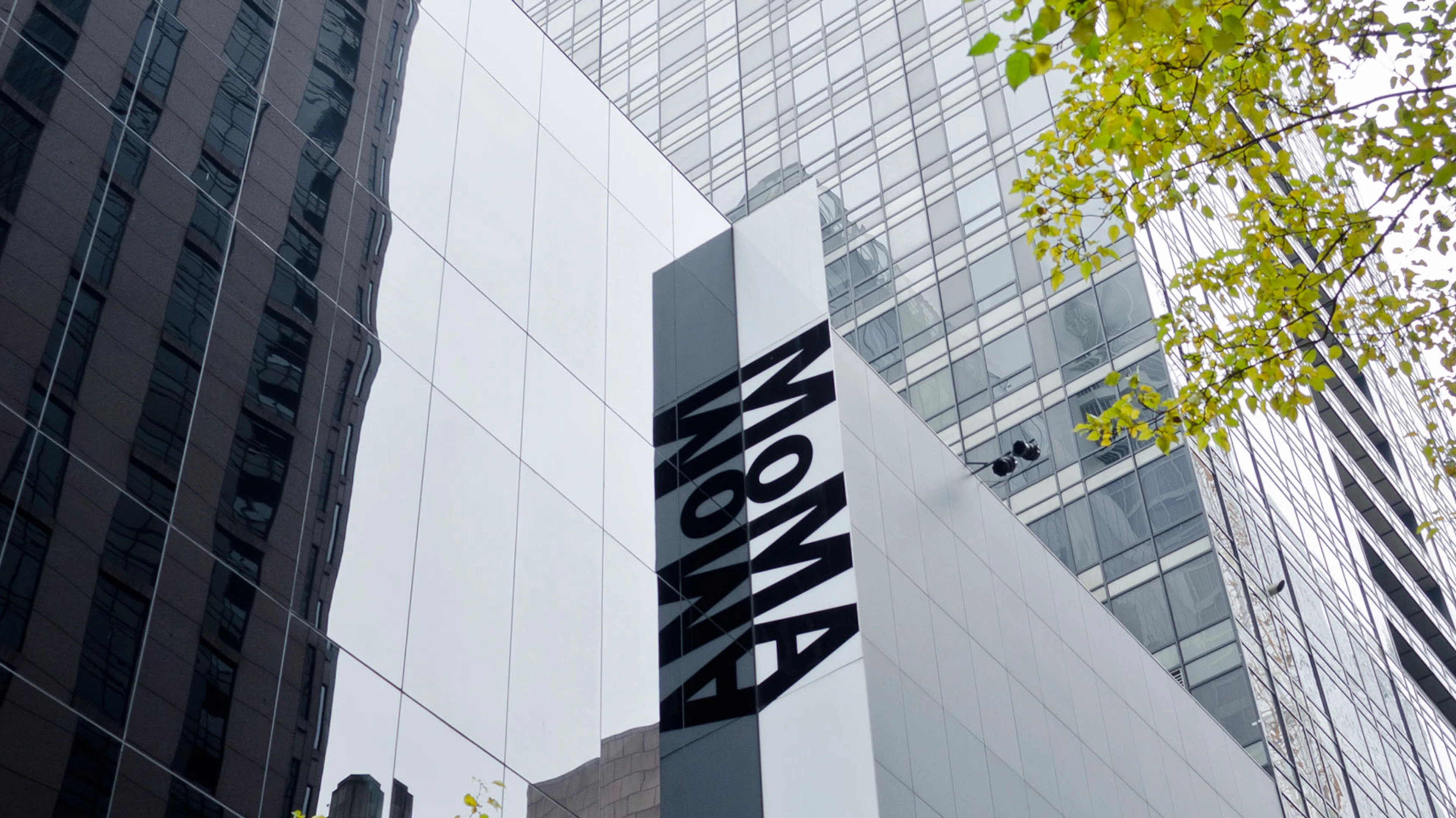 molo included in MoMa archives
