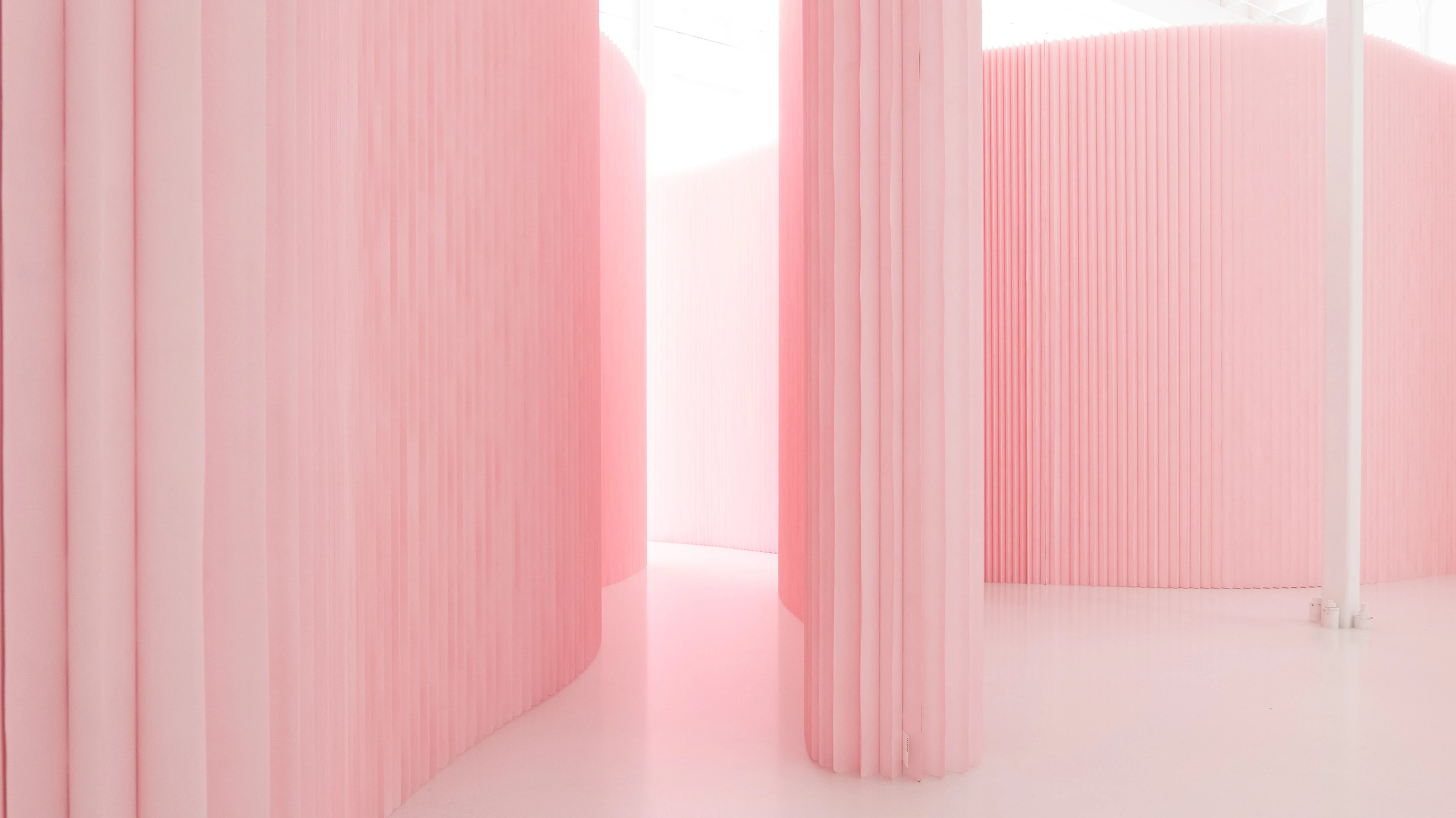softwall, folding partition,pink walls, Pantone 12-1305 pink in architecture, custom colour walls, molo
