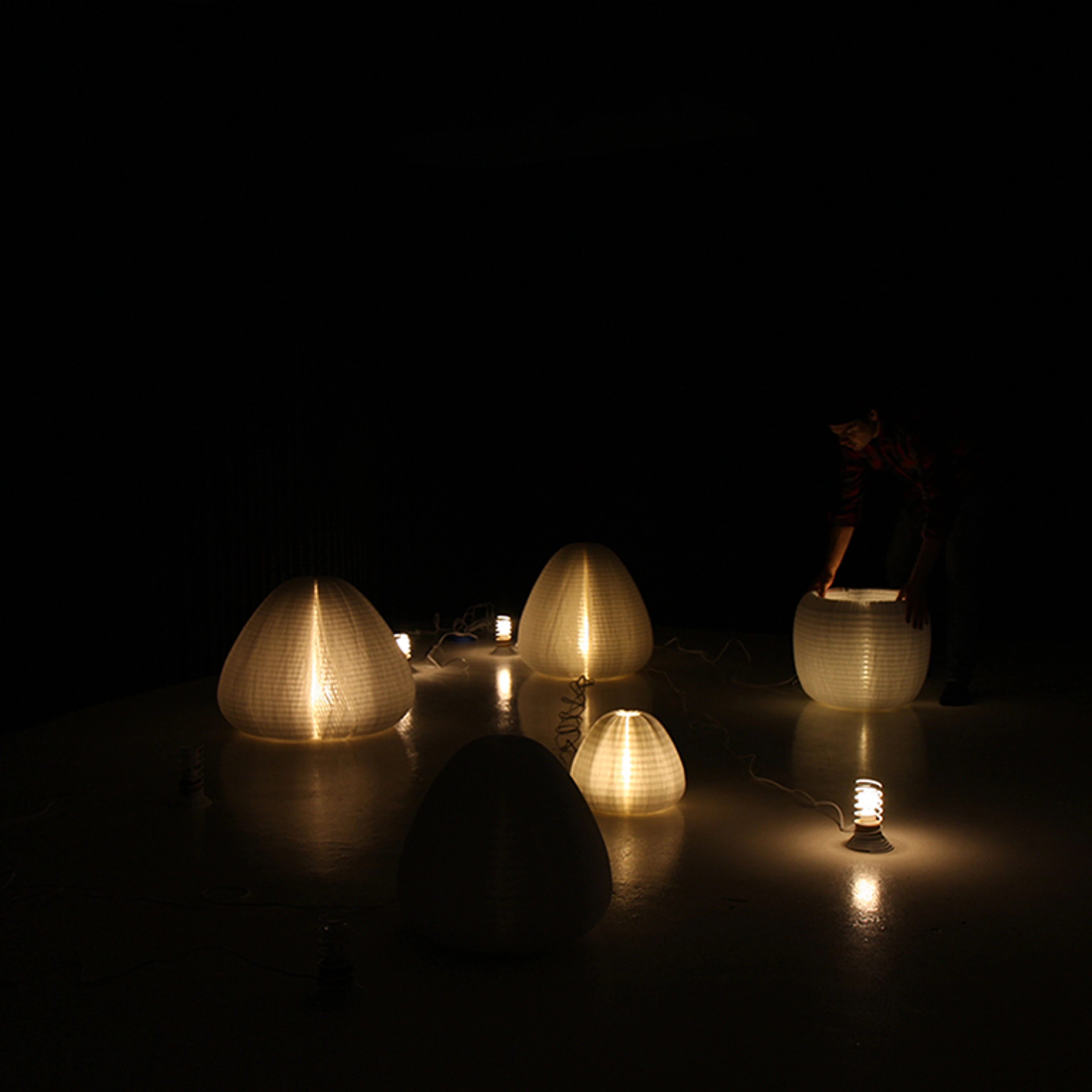A display of urchin softlight and the first internal armature used to hold the light source.