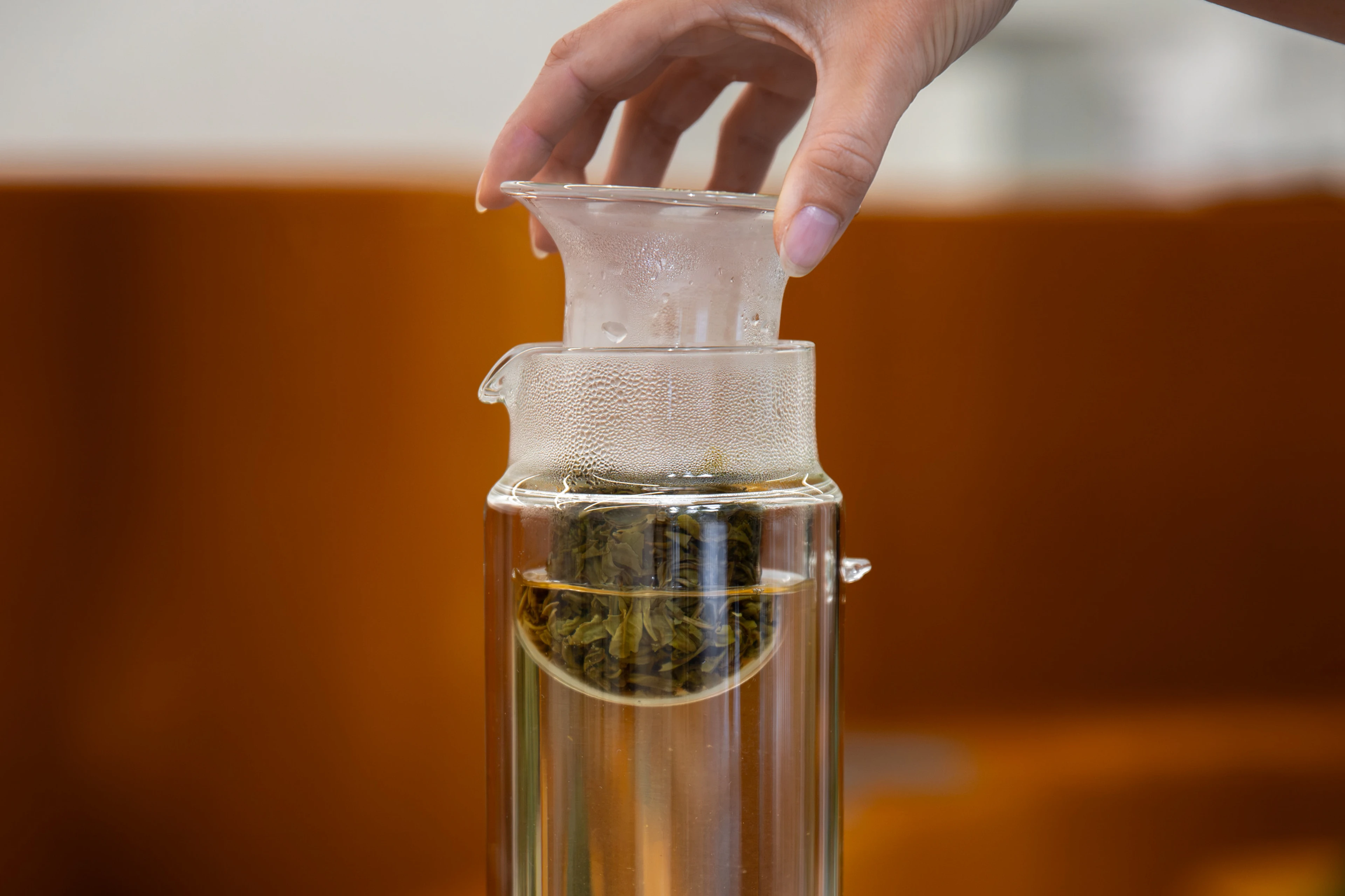 glass tea infuser