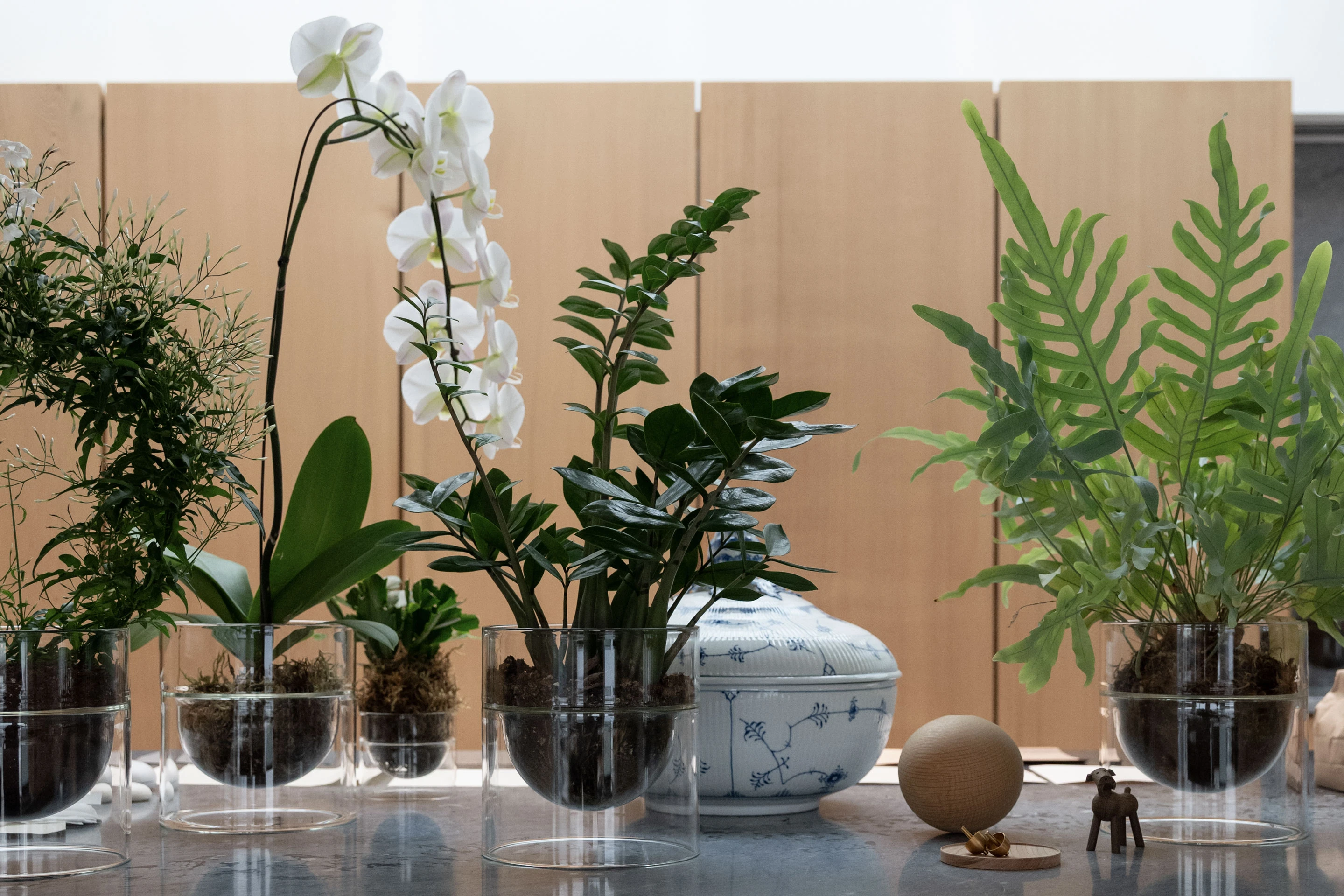contemporary indoor garden