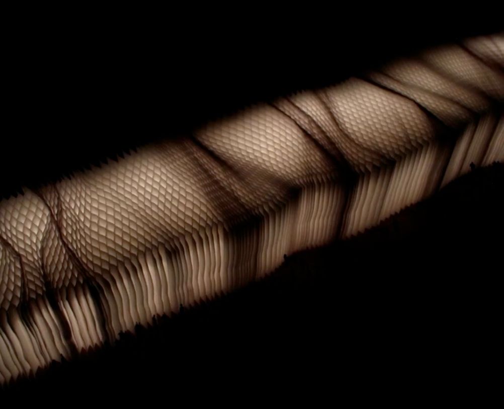 first prize in the LighTouch lighting Competition