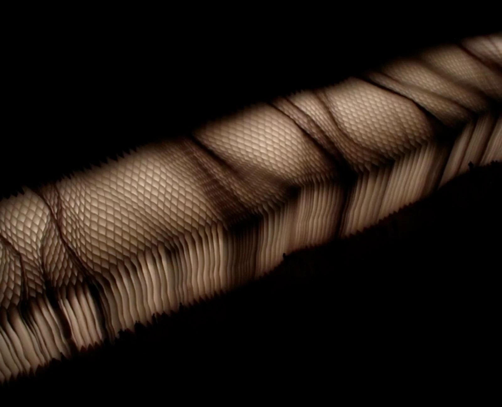 first prize in the LighTouch lighting Competition