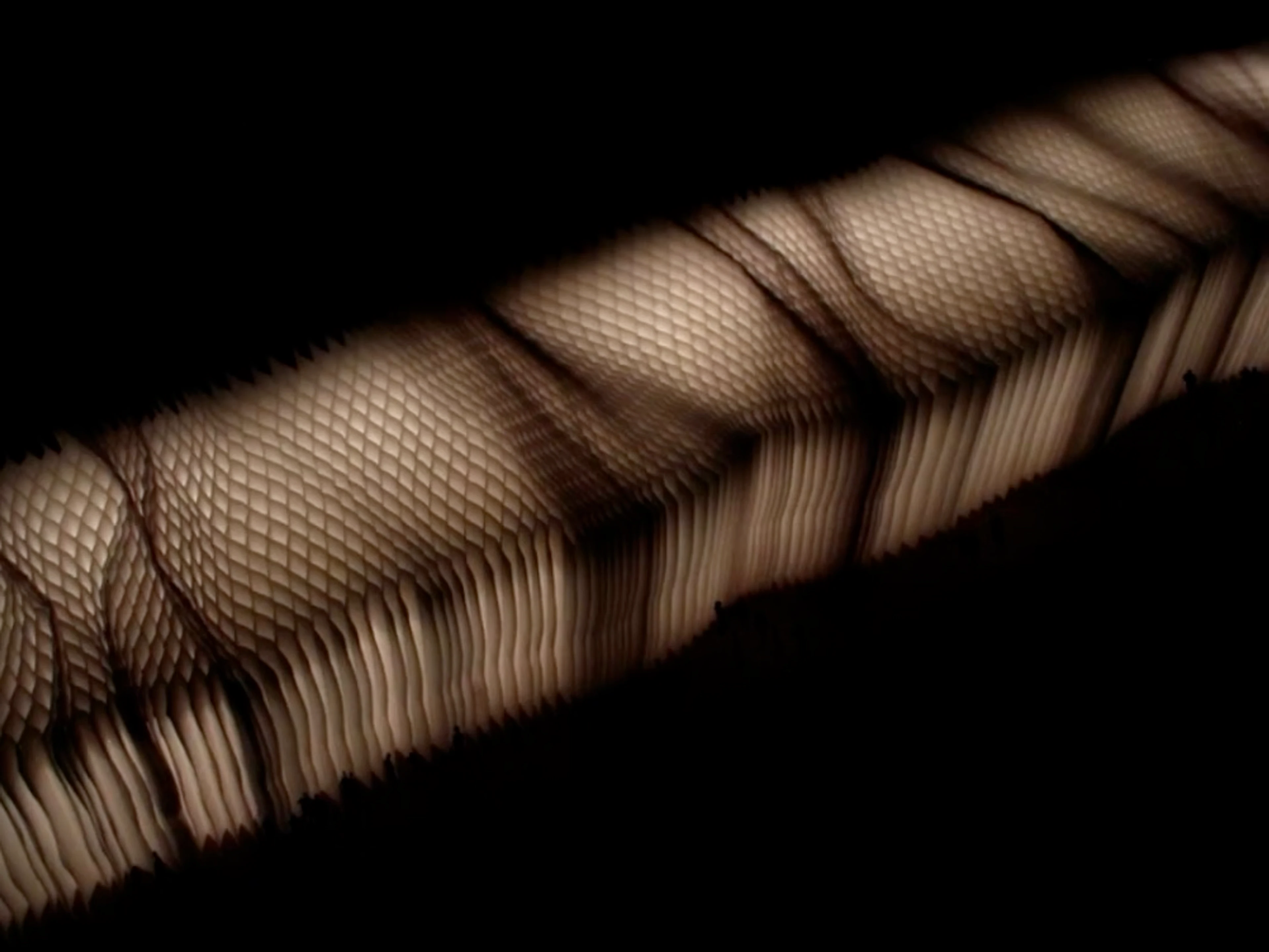 first prize in the LighTouch lighting Competition