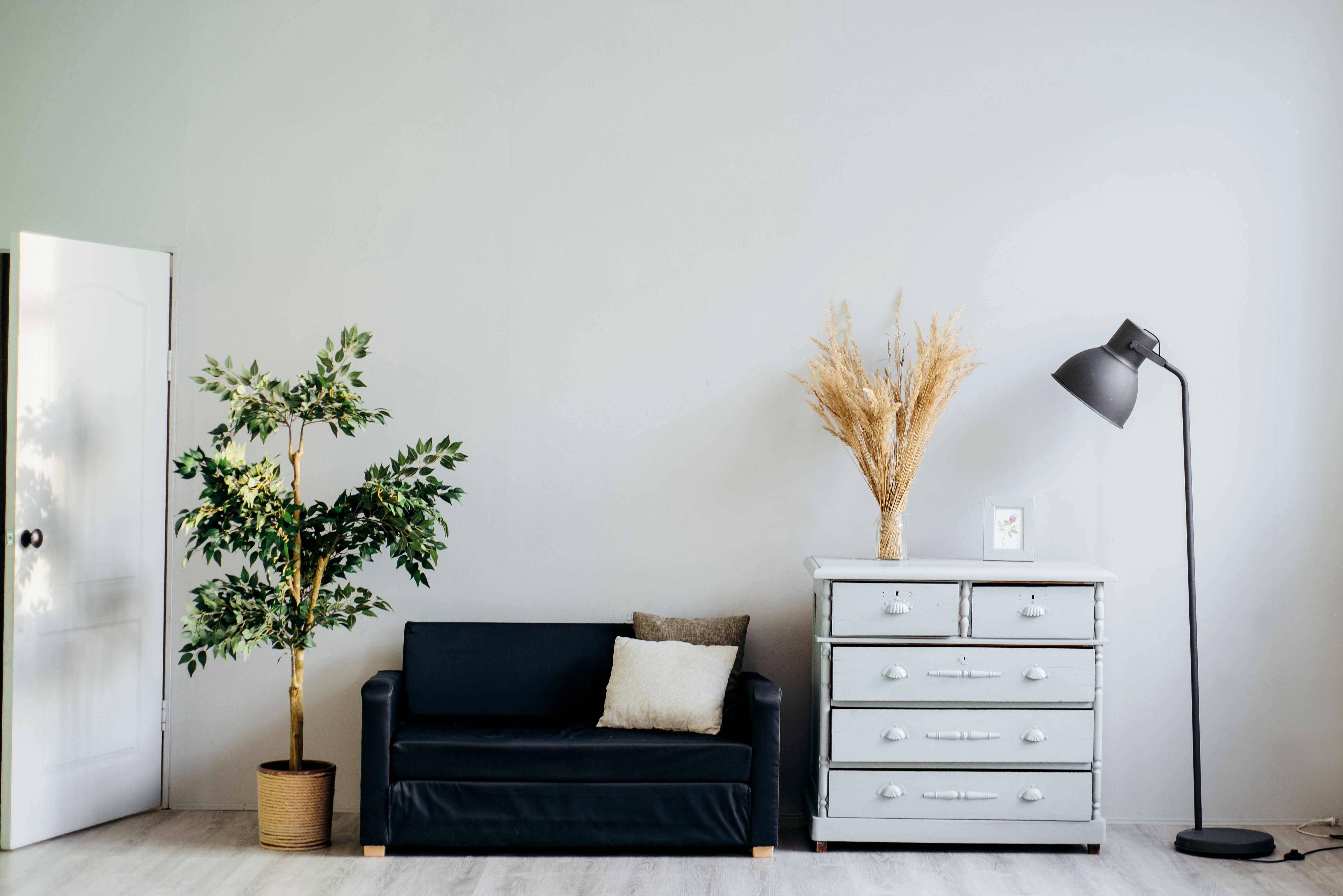 Regular Home Cleaning