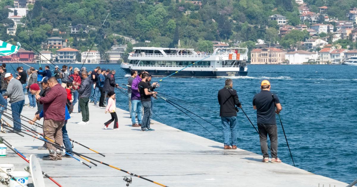 15 Nisan – 31 Ağustos: Yasak Döneminde Oltacı Ne Yapar?