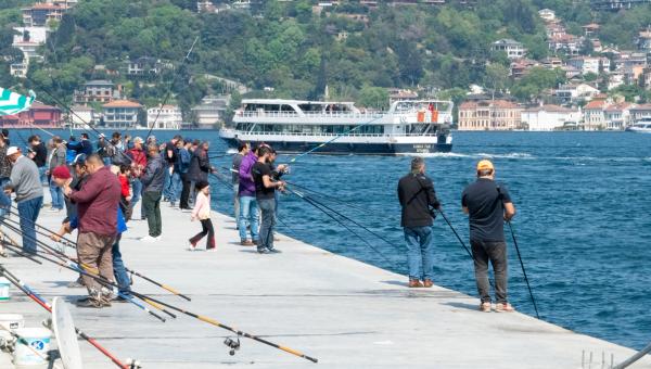 Yeni Başlayanlar İçin Kıyıdan Balık Tutma: 10 Altın Kural