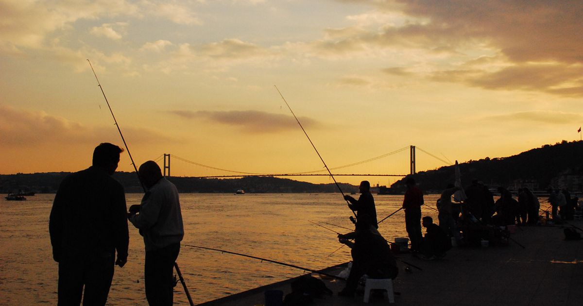 Sonbaharda İstanbul Boğazı Balık Avı: Nokta ve Sezon
