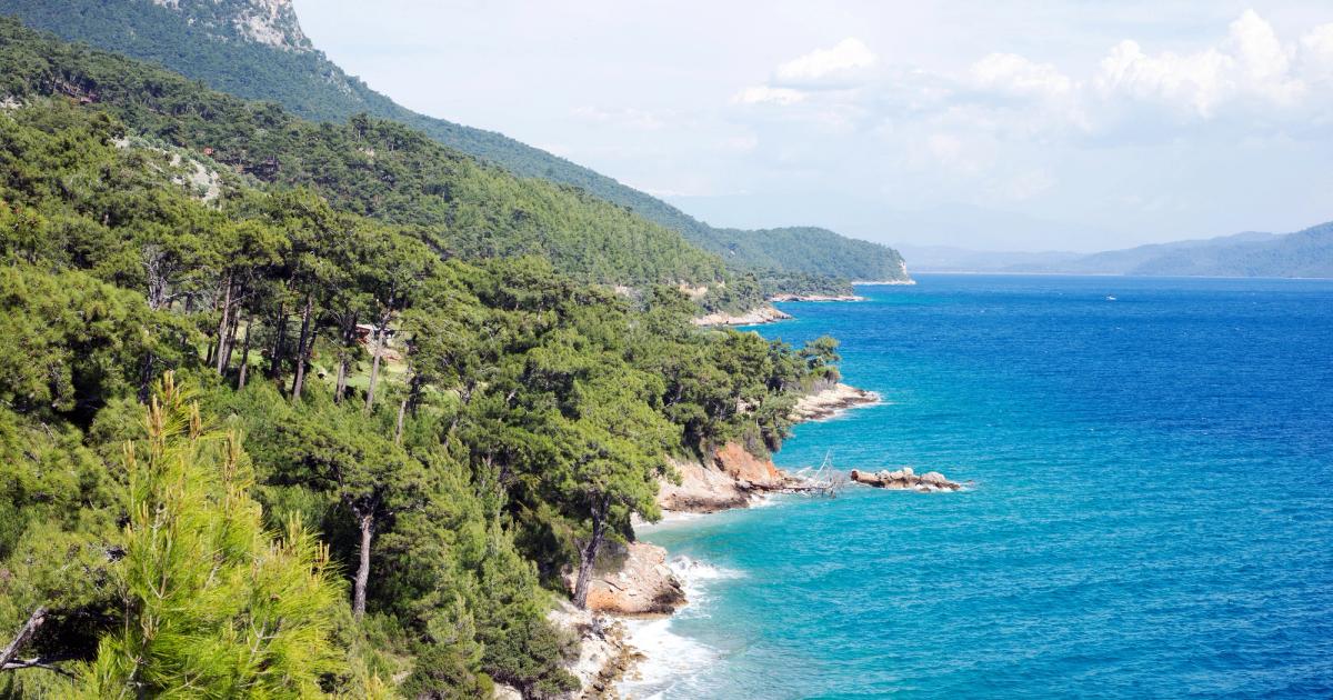 Muğla'da Balık Avı: Bodrum, Datça ve Fethiye Rehberi