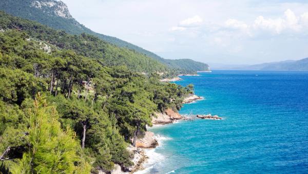Muğla'da Balık Avı: Bodrum, Datça ve Fethiye Rehberi