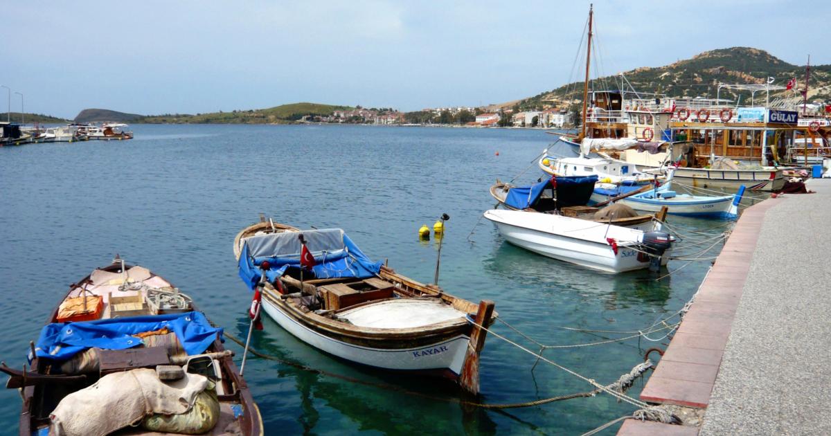 İzmir'de Balık Avı: Foça, Çeşme ve Sığacık Rehberi
