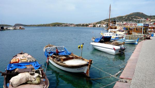 İzmir'de Balık Avı: Foça, Çeşme ve Sığacık Rehberi