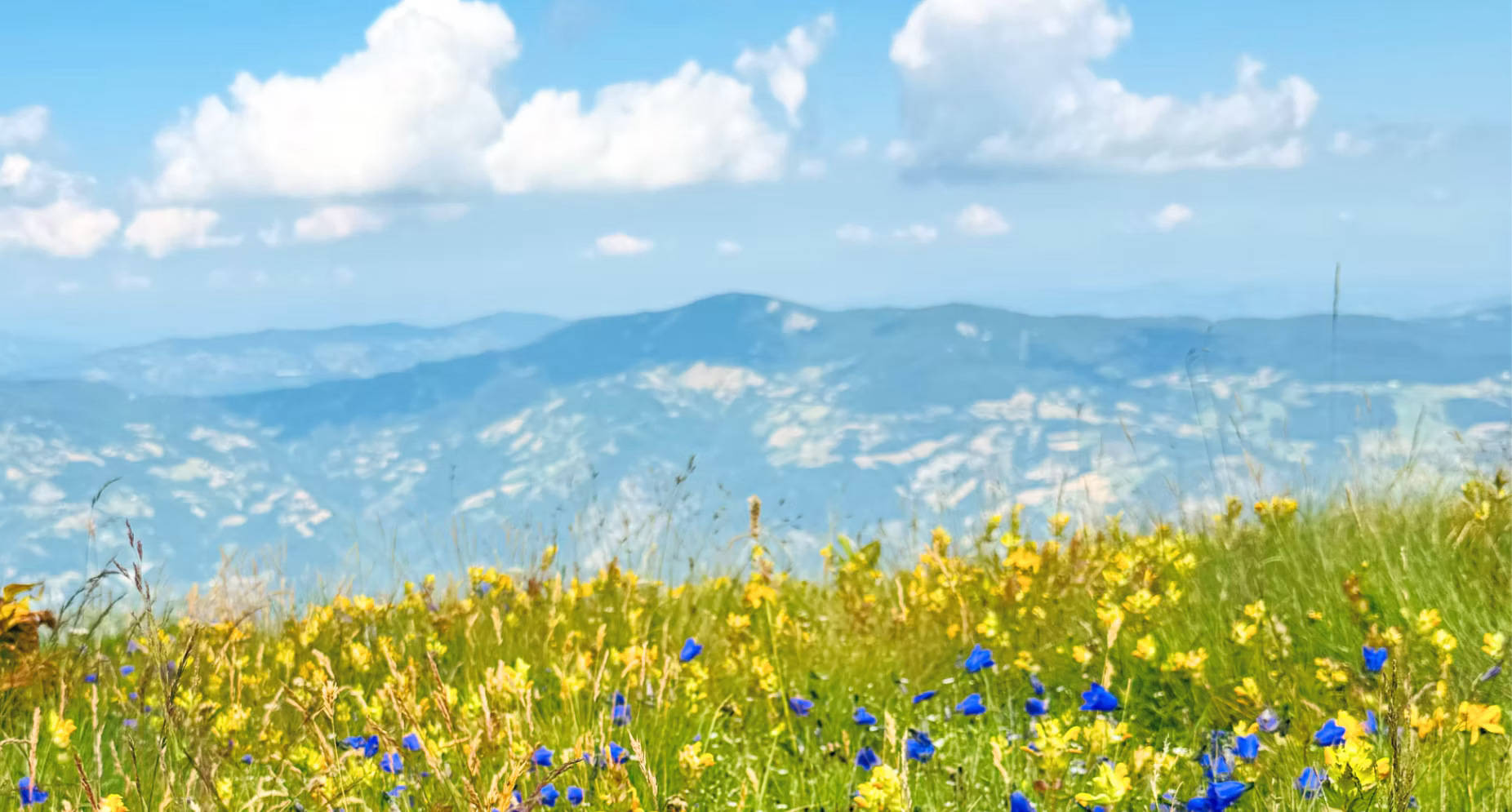 Mountain landscape celebrating Pelago’s Northern Italian roots