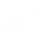 Pelago Cafe wordmark with mountain silhouette
