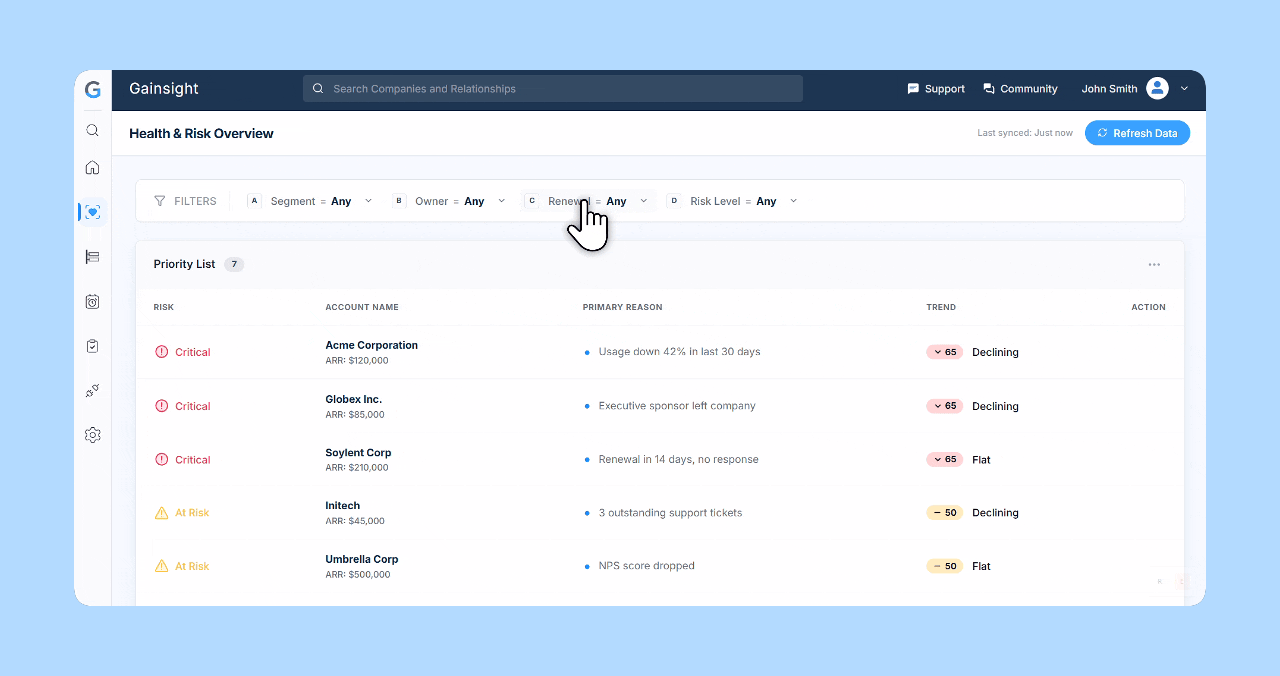 3.Filters (Segment, Owner, Renewal, Risk)
