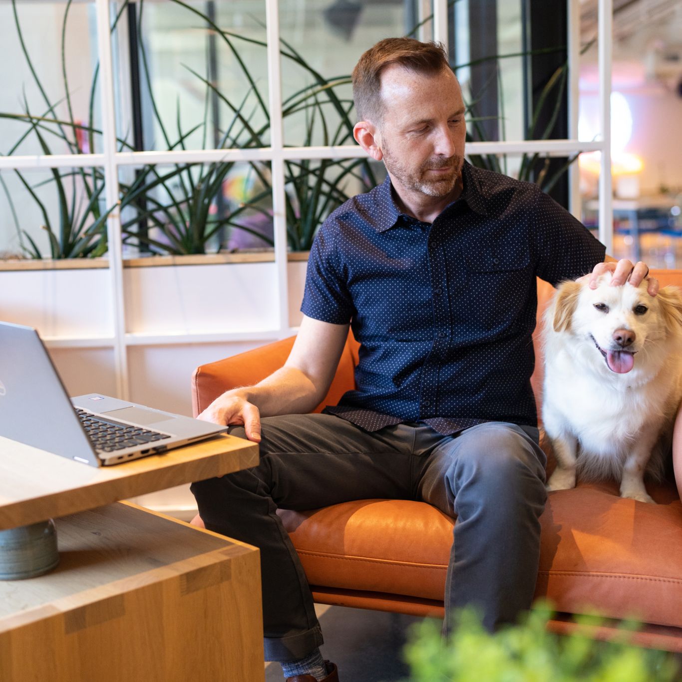 Careers Companion Pet Partners