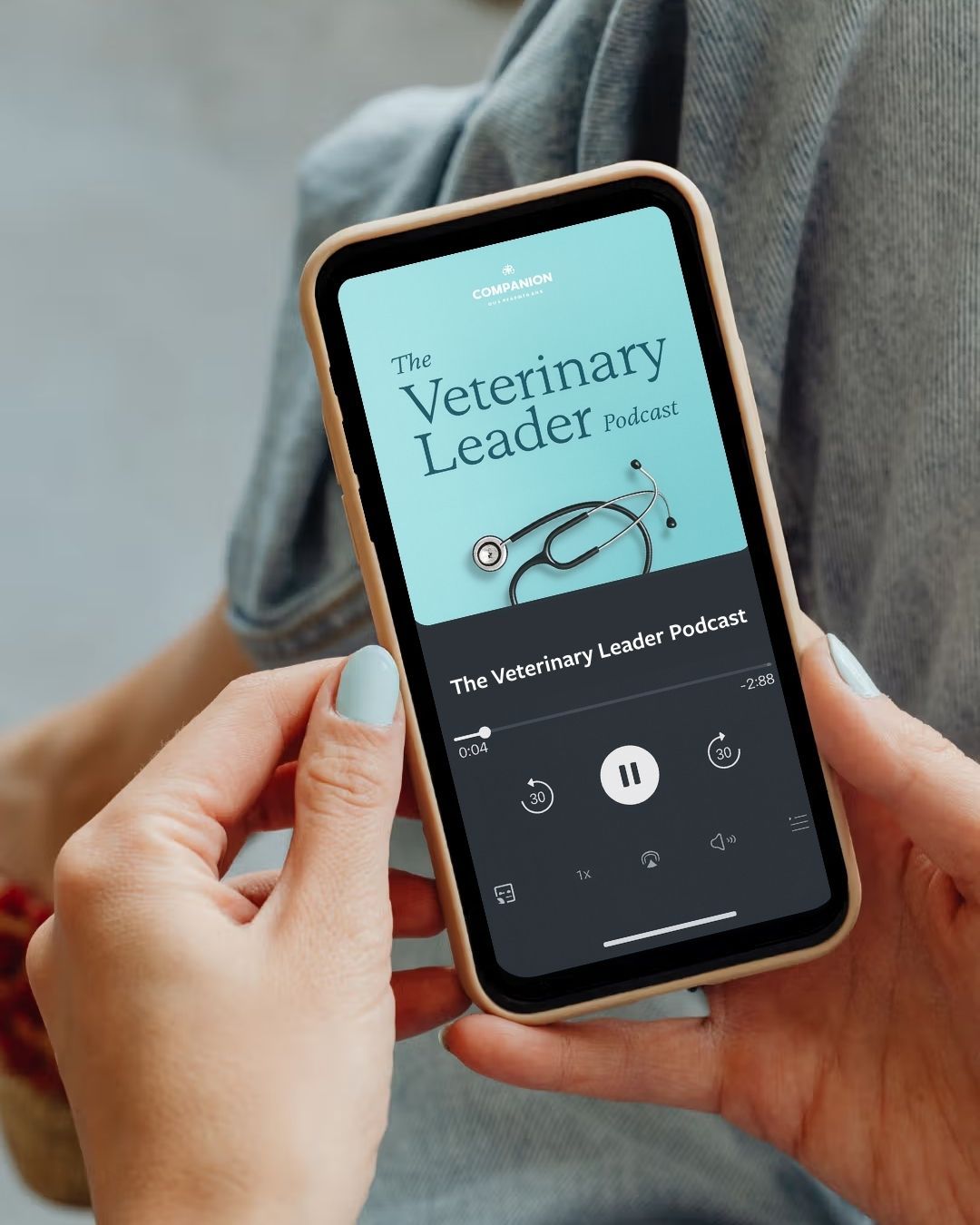 About The Podcast