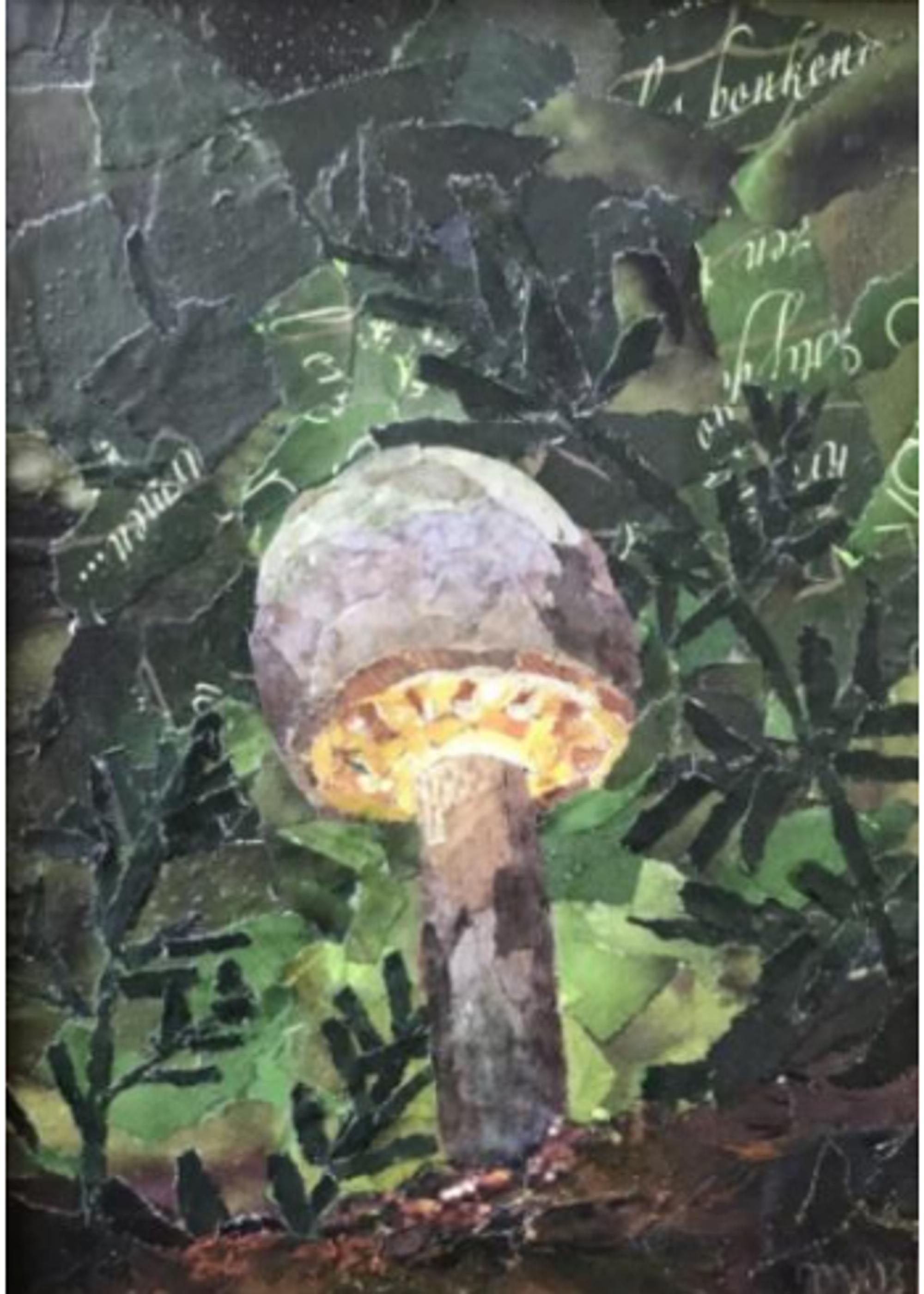 Luminous Fungi