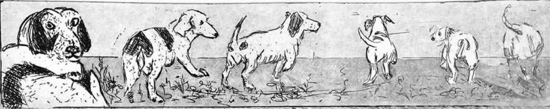 De wandeling, Charlot van der Hoeven