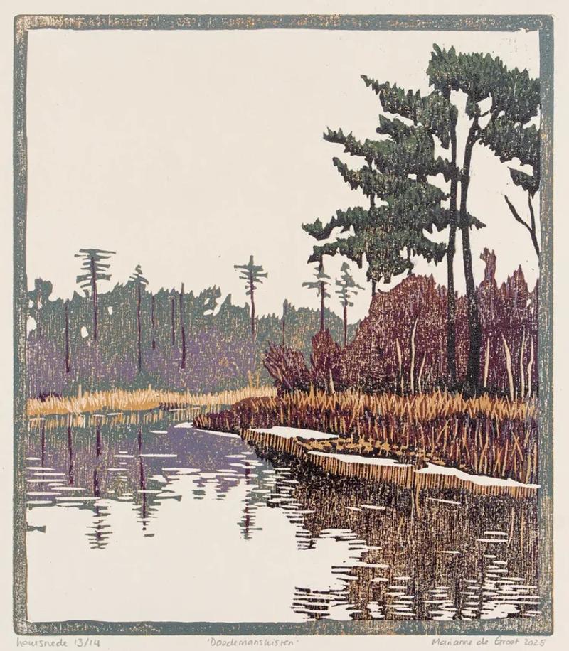 Doodemanskisten, Marianne de Vries de Groot