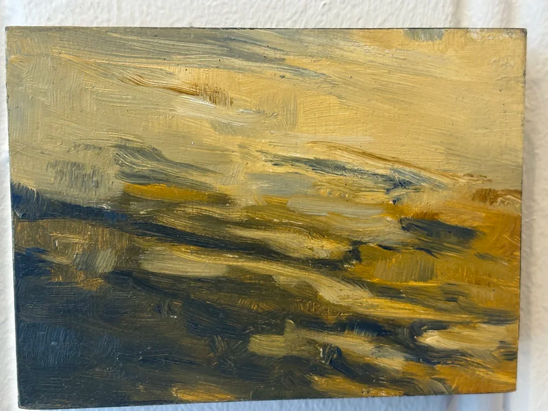 Schaduw 1, Karien Hillebrands