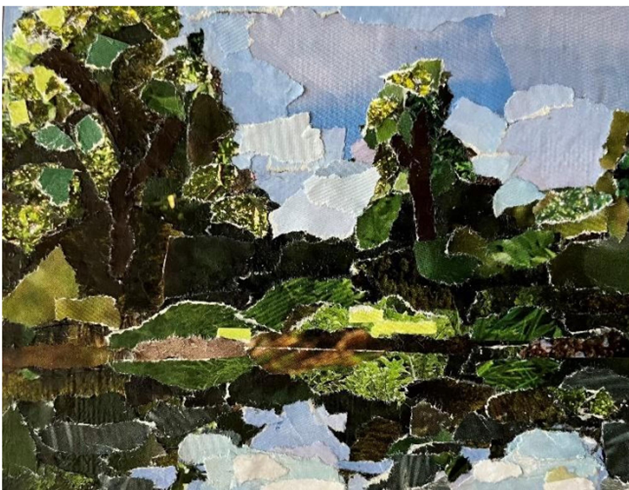 Forest reflections