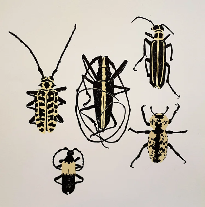 Biodiversity II, Laura Blömer