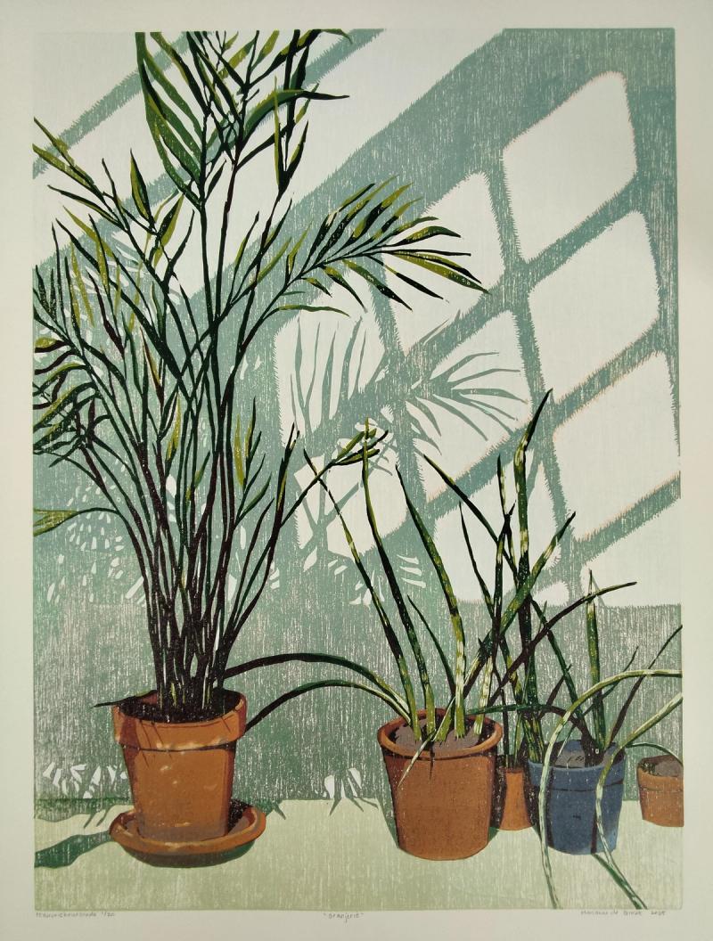 Orangerie, Marianne de Vries de Groot