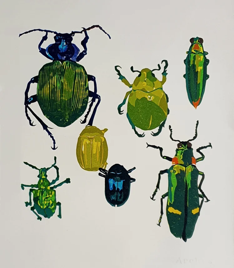 Biodiversity III, Laura Blömer