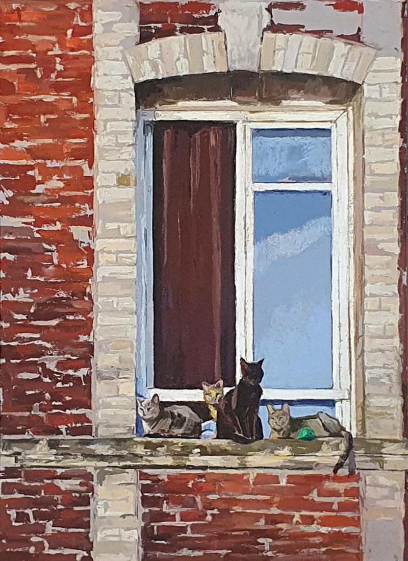 Cats of Dieppe II, Laura Blömer