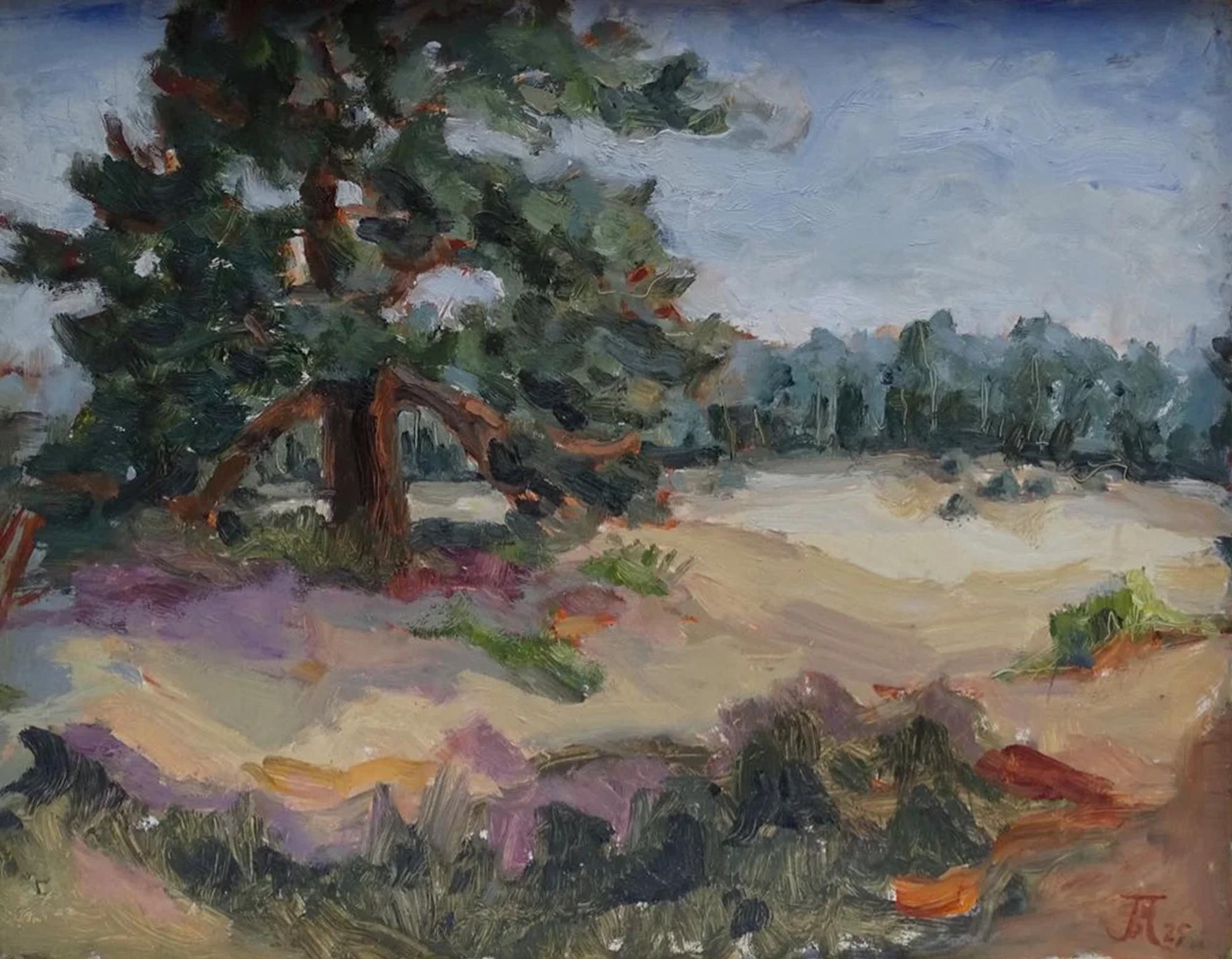 Zuiderheide