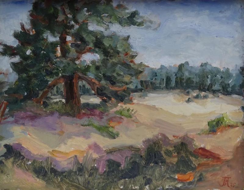 Zuiderheide, Joland van der Helm