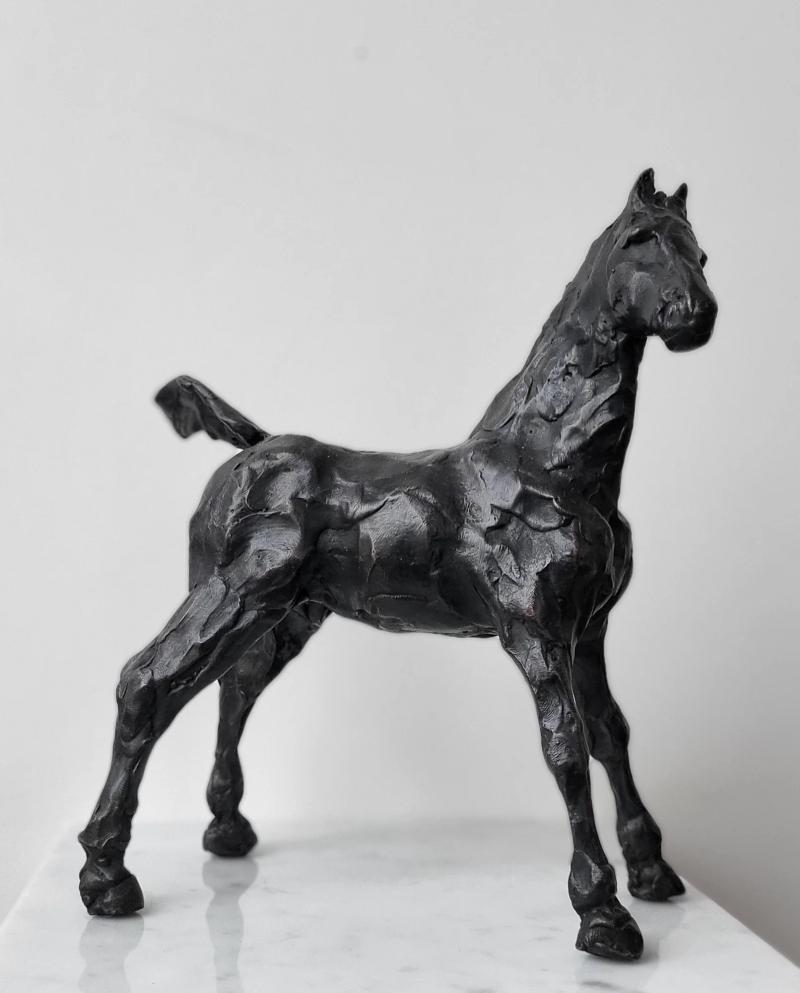 Brave Foal, Annuska 't Hart