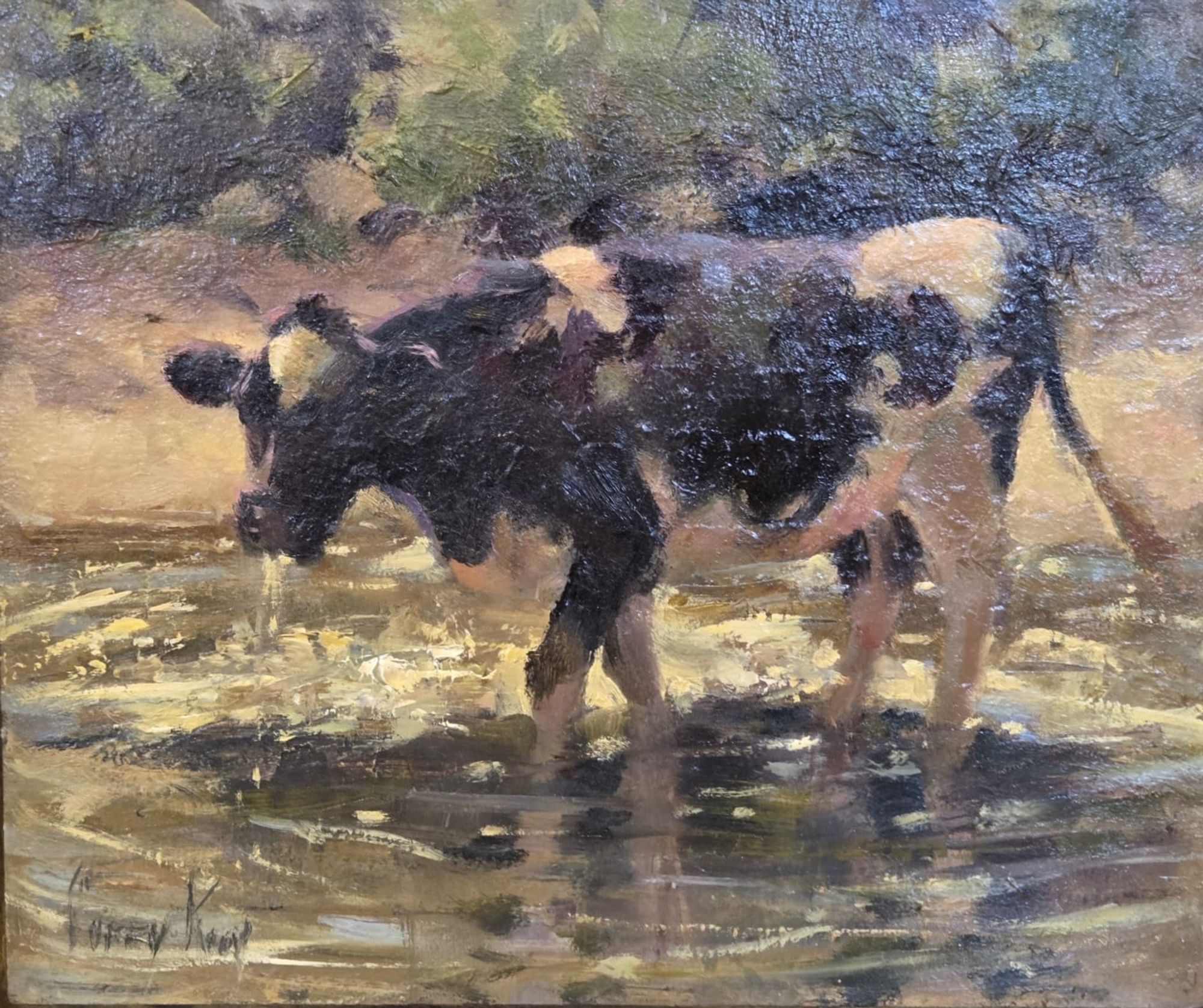 Avondlicht aan de rivier 