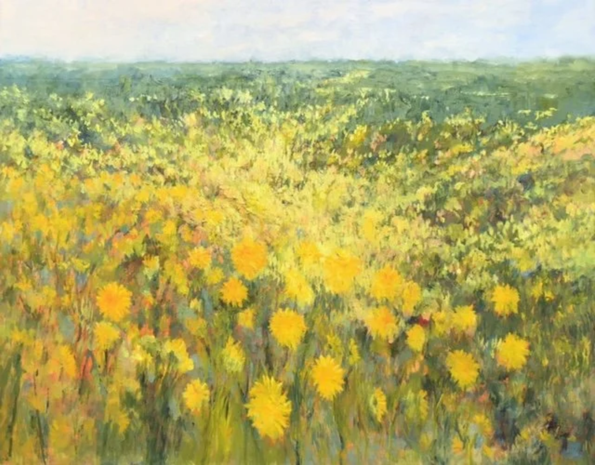 Veld achter de duinen