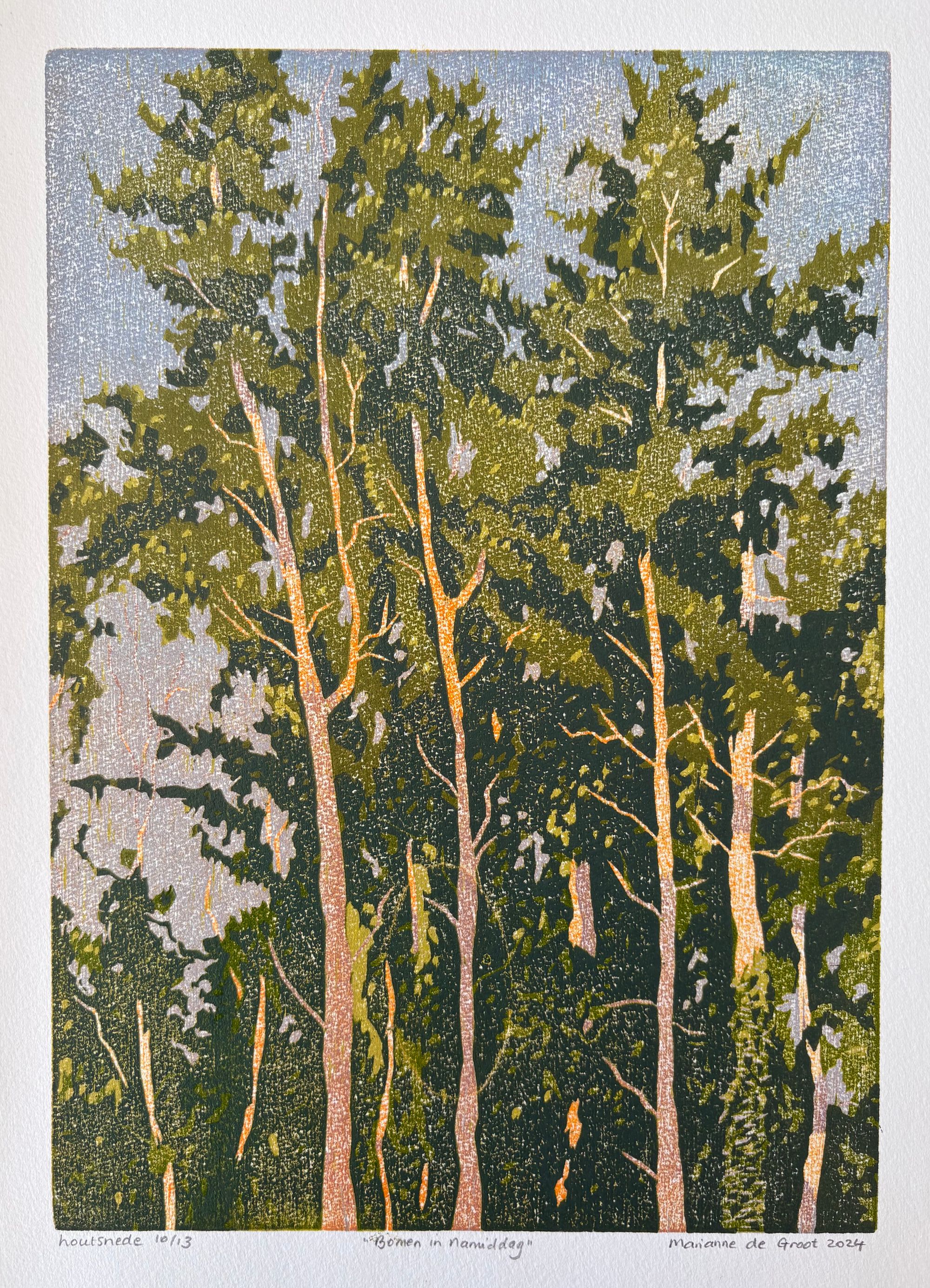 Bomen in namidag