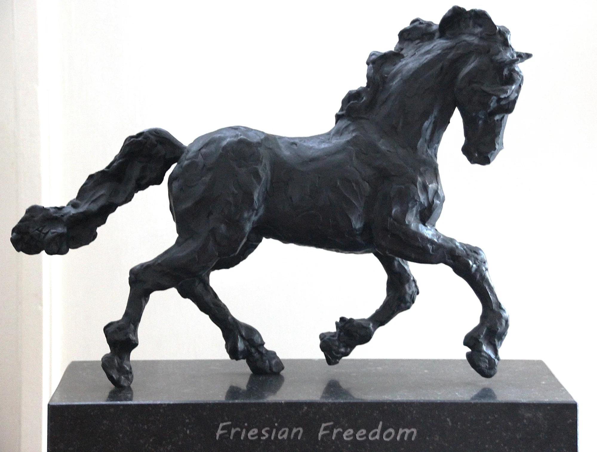 Friesian Freedom
