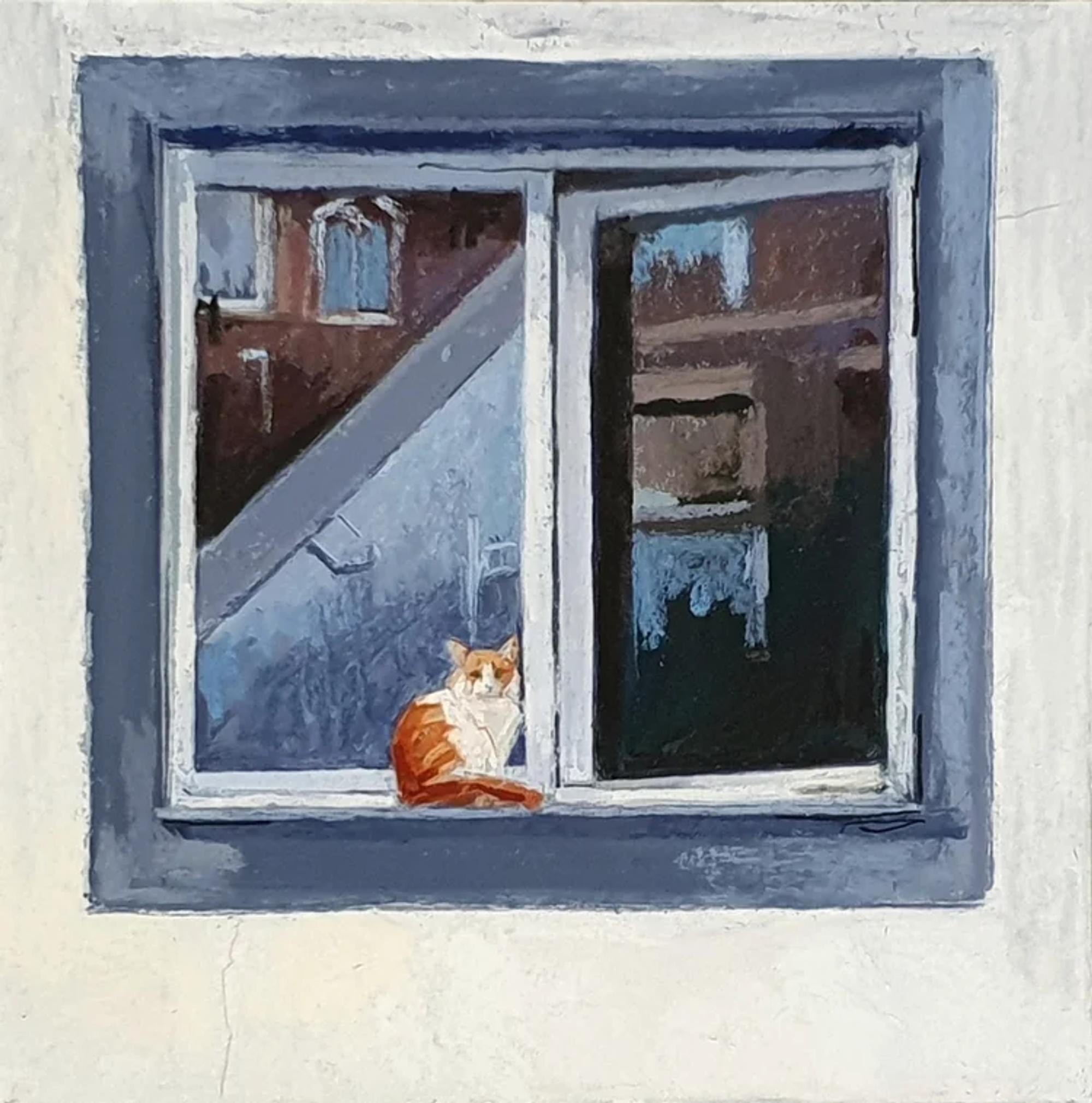 Cats of Dieppe I