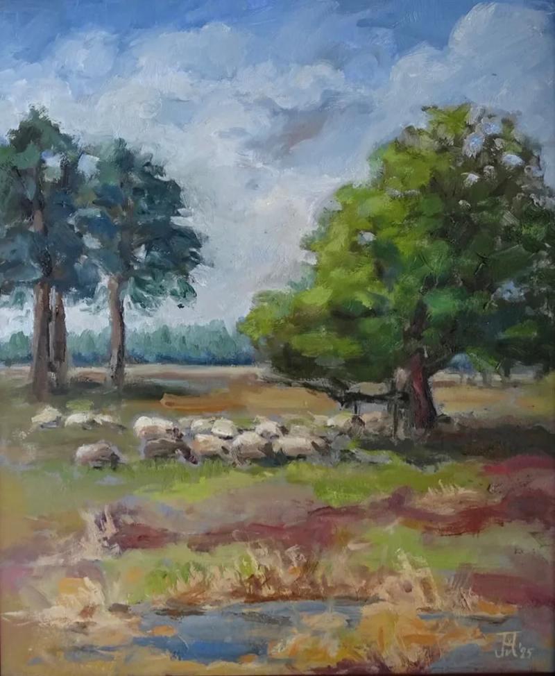 Zandverstuiving, Joland van der Helm